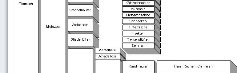 visio-Training Beispiele